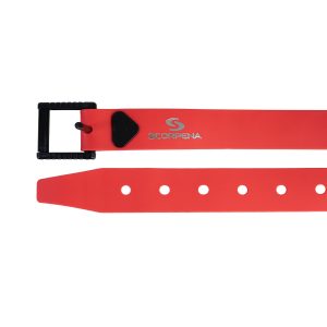 belt-red-1.jpg