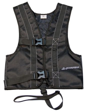 Atsvaru sistēma Scorpena