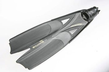 Pleznas Salvimar 4One